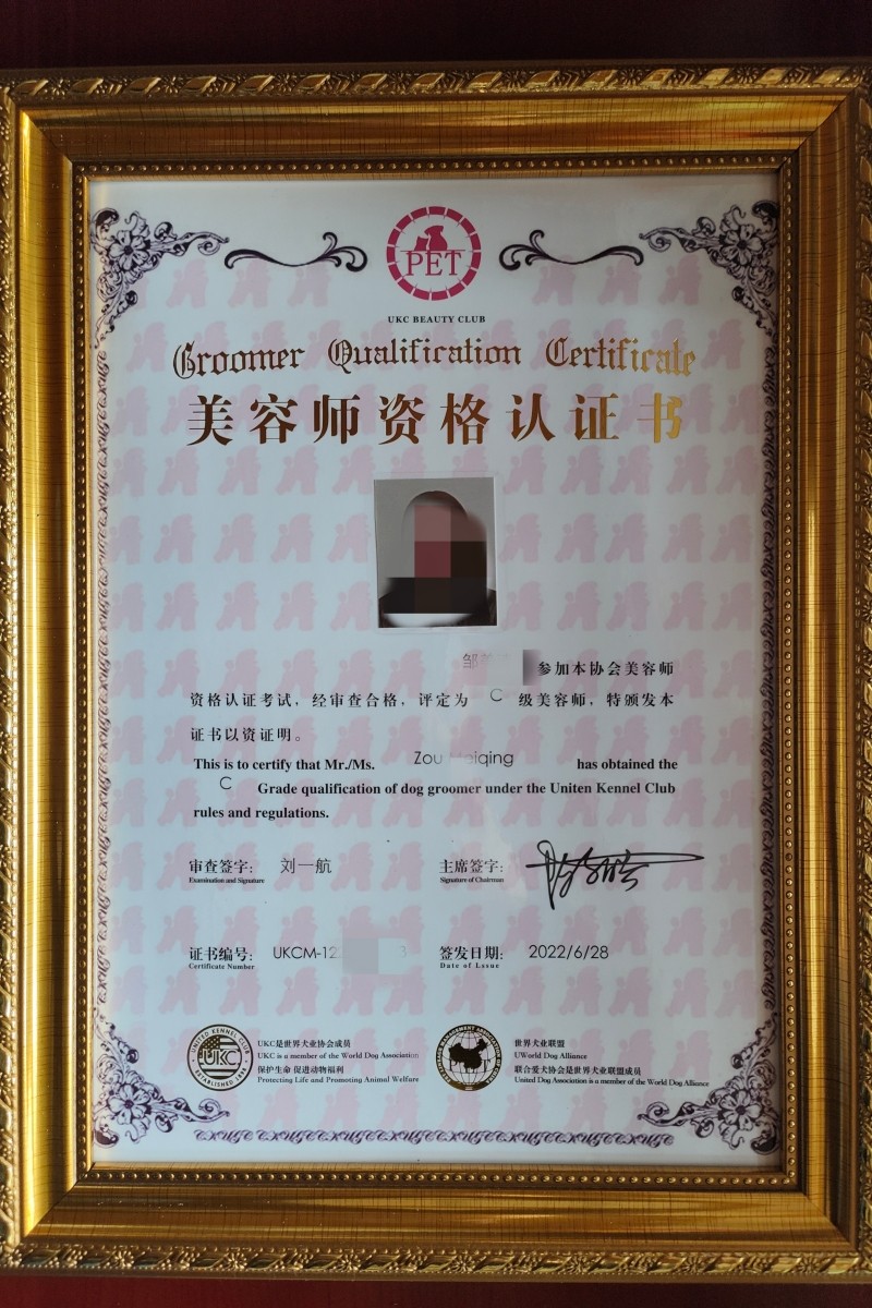 合肥宠物美容师怎么翻译_合肥宠物美容师英文用法_合肥宠物美容师英语例句_淘宝翻译网