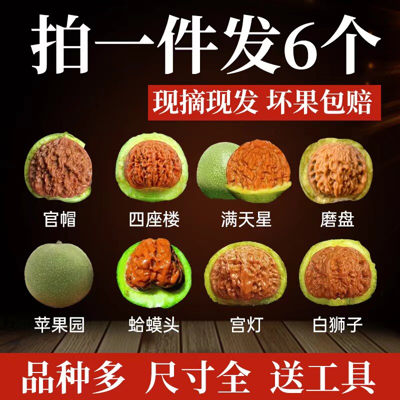 文玩核桃怎么翻译_文玩核桃英文用法_文玩核桃英语例句_淘宝翻译网