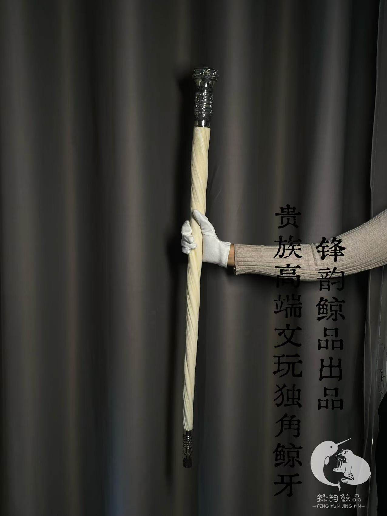 独角鲸牙怎么翻译_独角鲸牙英文用法_独角鲸牙英语例句_淘宝翻译网