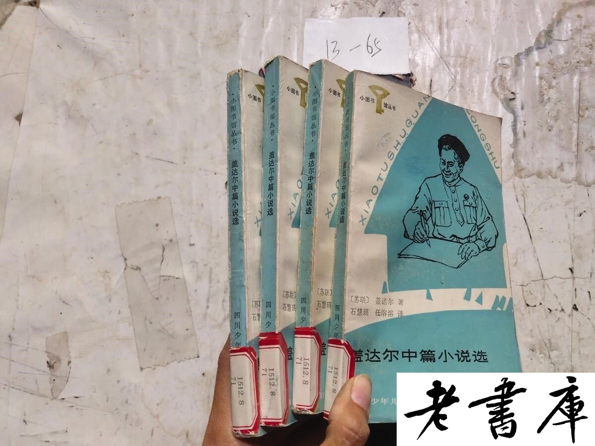 少年篇小说怎么翻译_少年篇小说英文用法_少年篇小说英语例句_淘宝翻译网
