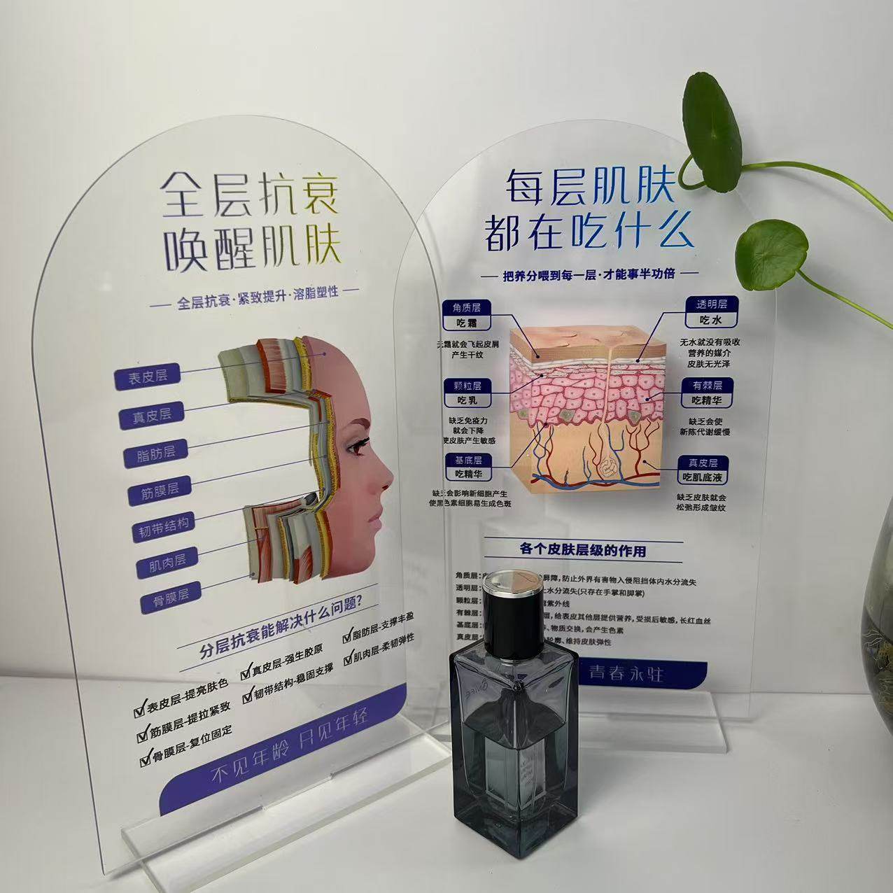 美容院陈列怎么翻译_美容院陈列英文用法_美容院陈列英语例句_淘宝翻译网