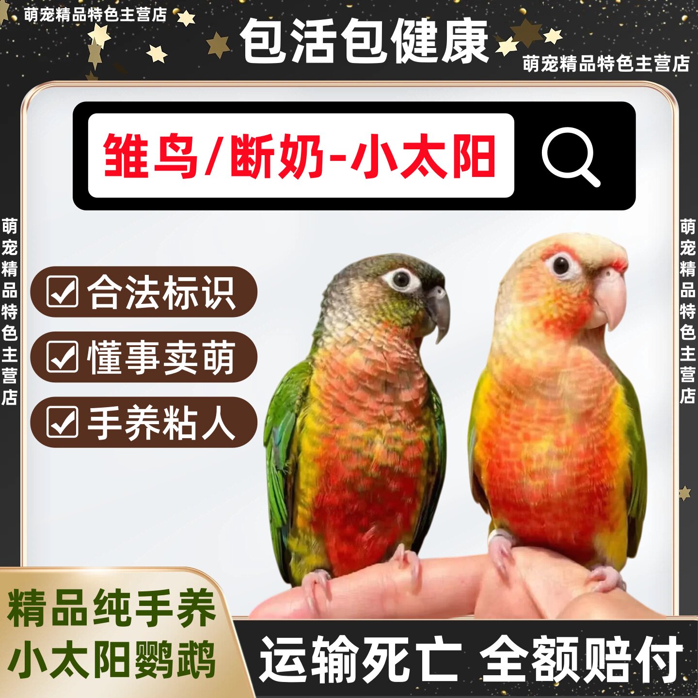 小鸟系列怎么翻译_小鸟系列英文用法_小鸟系列英语例句_淘宝翻译网