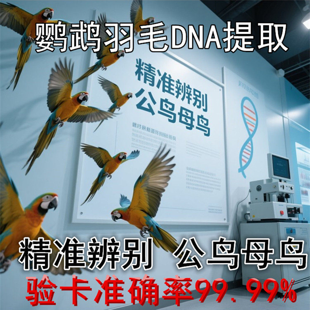 小太阳拔毛验怎么翻译_小太阳拔毛验英文用法_小太阳拔毛验英语例句_淘宝翻译网