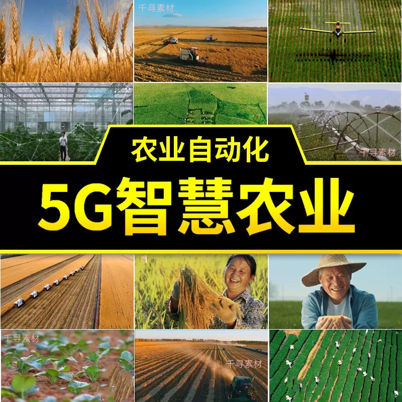 智慧农业怎么翻译_智慧农业英文用法_智慧农业英语例句_淘宝翻译网
