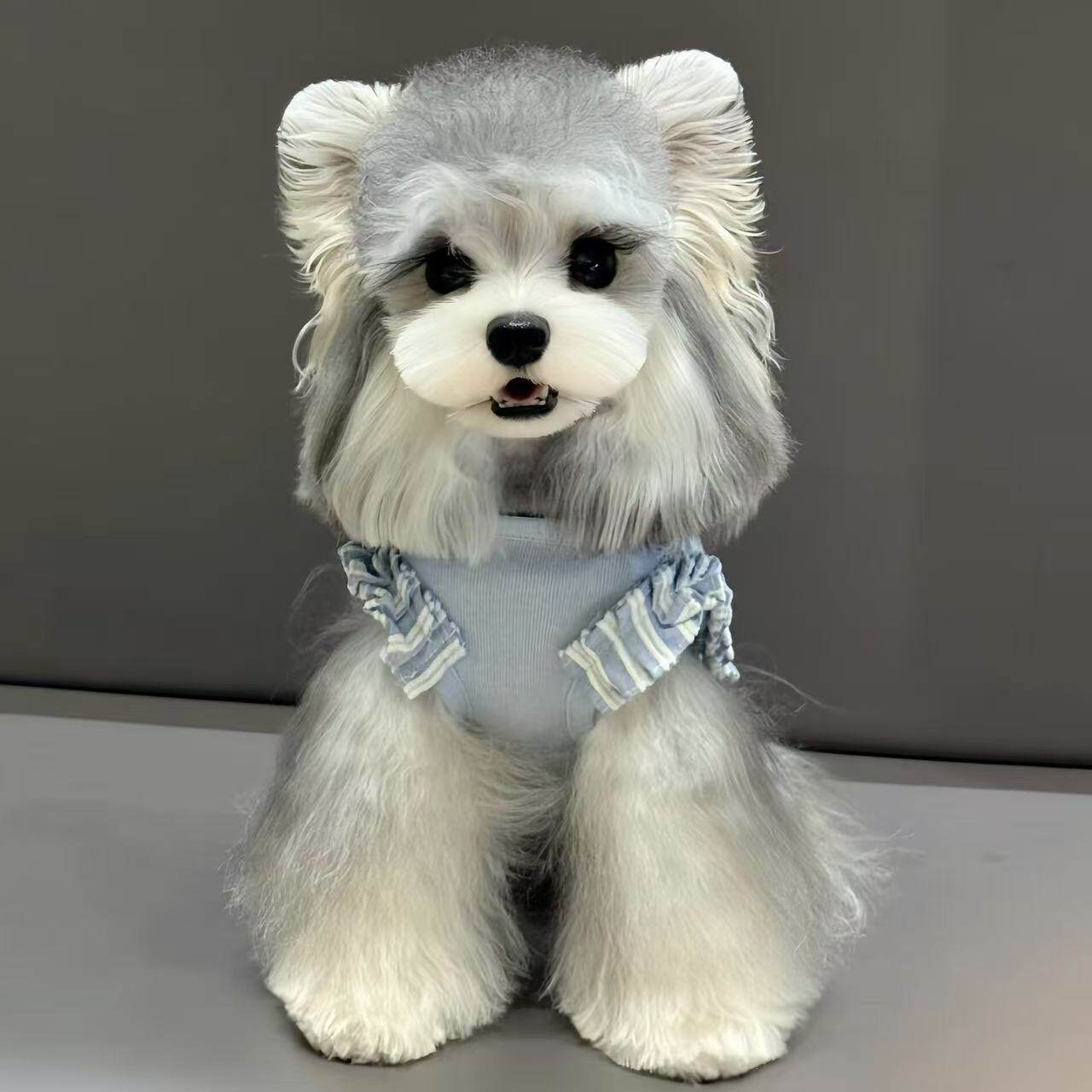 雪橇犬宠物怎么翻译_雪橇犬宠物英文用法_雪橇犬宠物英语例句_淘宝翻译网, image size:1280x1280