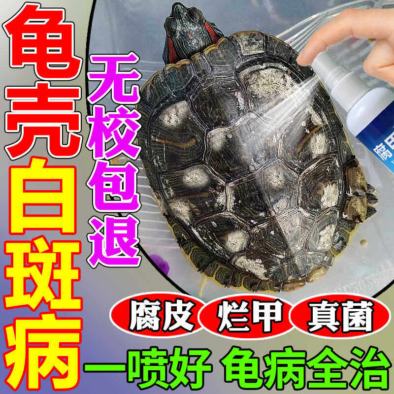 How to treat white spot fungus in tortoise shells? can shell guard oil ...