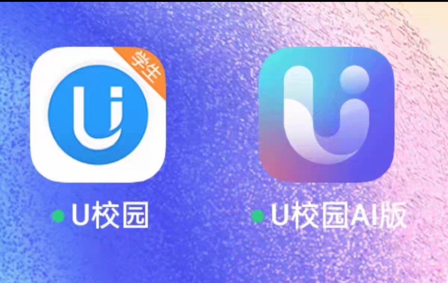 校园频率怎么翻译_校园频率英文用法_校园频率英语例句_淘宝翻译网