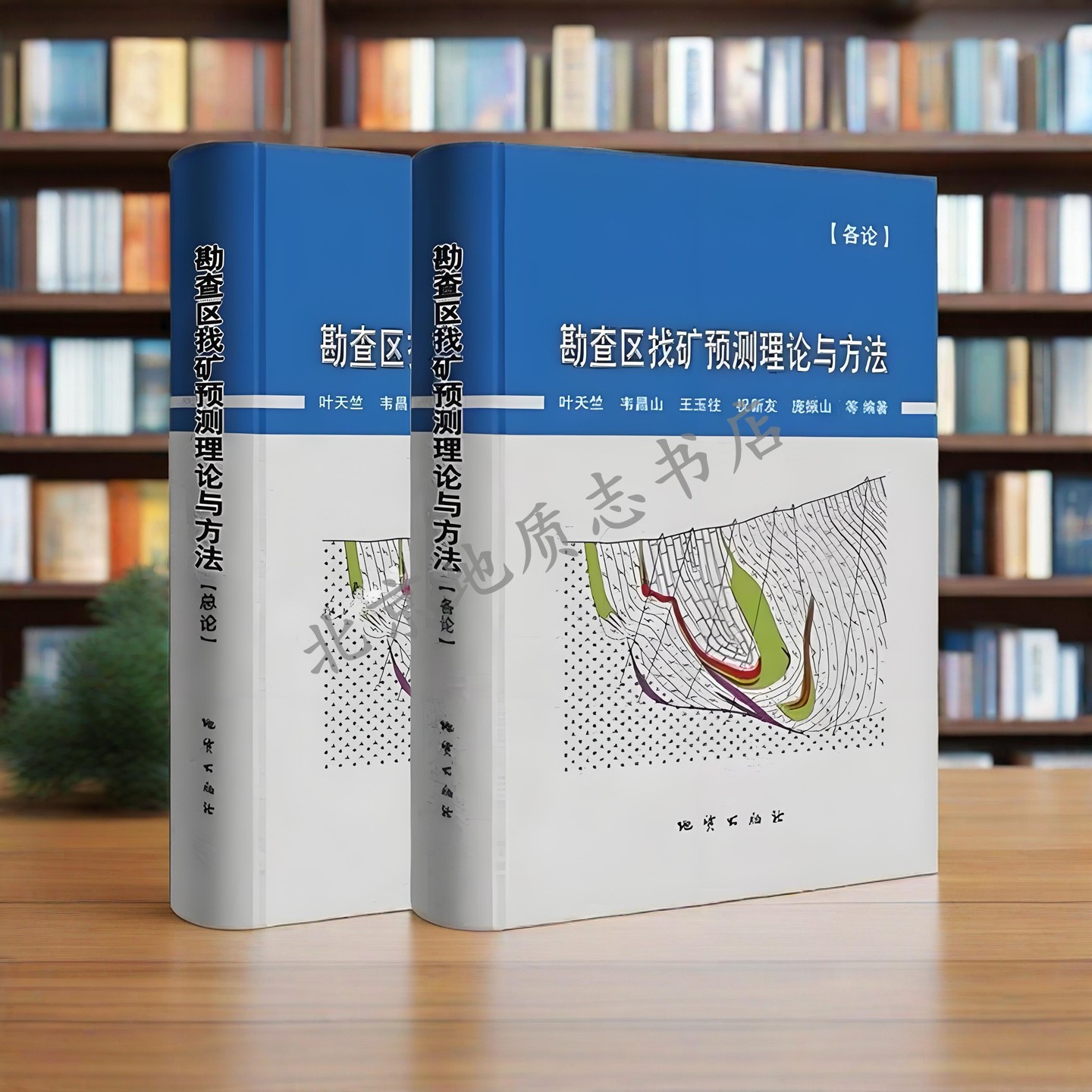 预测方法怎么翻译_预测方法英文用法_预测方法英语例句_淘宝翻译网