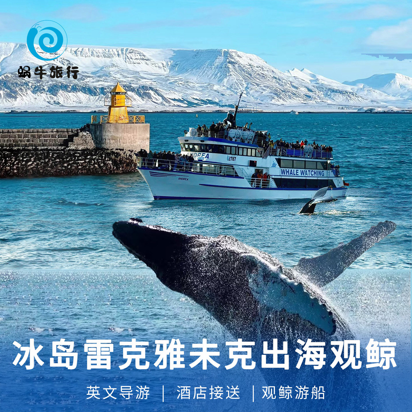 雷克雅未克出海怎么翻译_雷克雅未克出海英文用法_雷克雅未克出海英语例句_淘宝翻译网