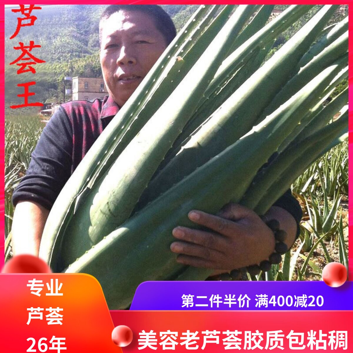 库拉索芦荟怎么翻译_库拉索芦荟英文用法_库拉索芦荟英语例句_淘宝翻译网