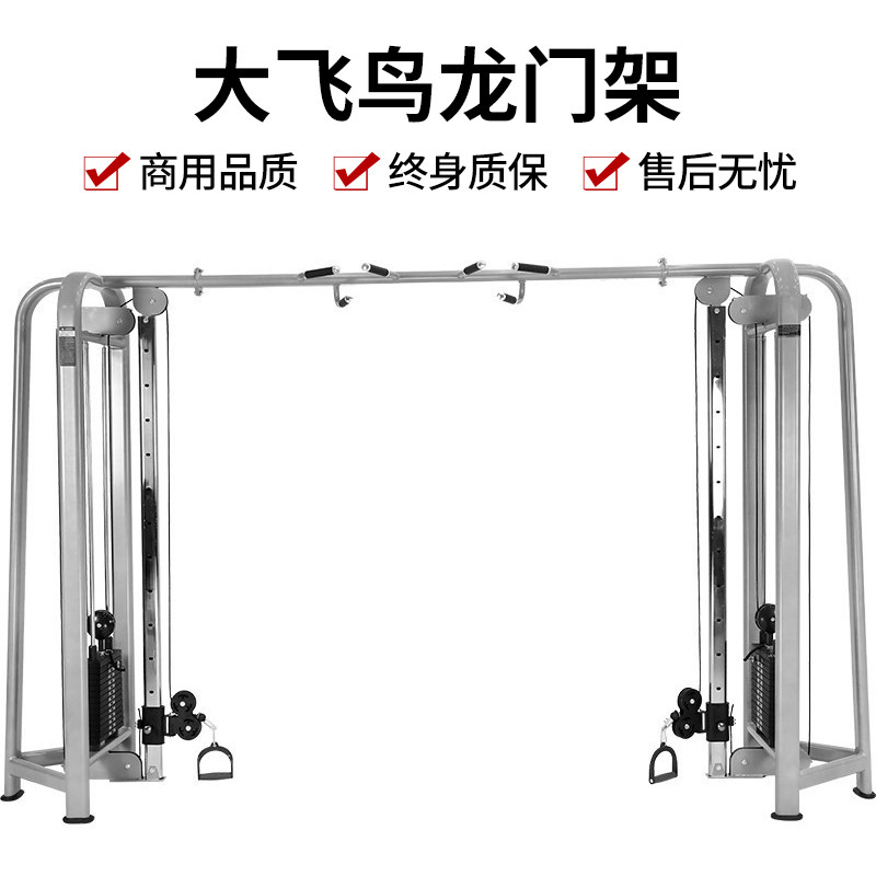 大飞鸟健身器怎么翻译_大飞鸟健身器英文用法_大飞鸟健身器英语例句_淘宝翻译网