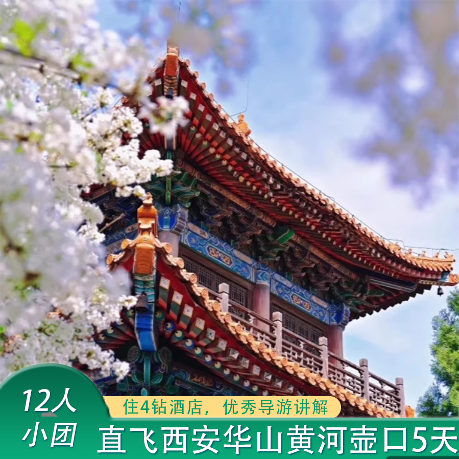 诗意满长安12人小团含机票陕西西安6天旅游华山黄河壶口兵马俑