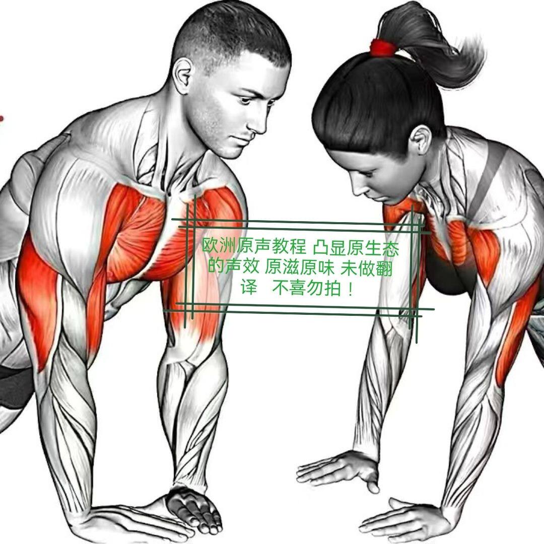 塑脂塑形怎么翻译_塑脂塑形英文用法_塑脂塑形英语例句_淘宝翻译网