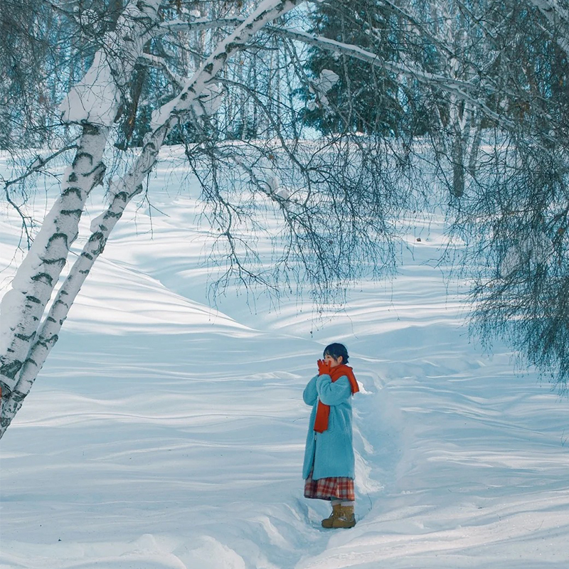 【大喀集禾】新疆旅游喀纳斯禾木白哈巴6人小团无购物5天4晚跟团