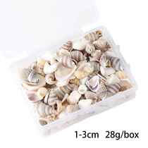 Mix Style Natural Shell 1-3cm 1 BOX Natural Conch Shells Min