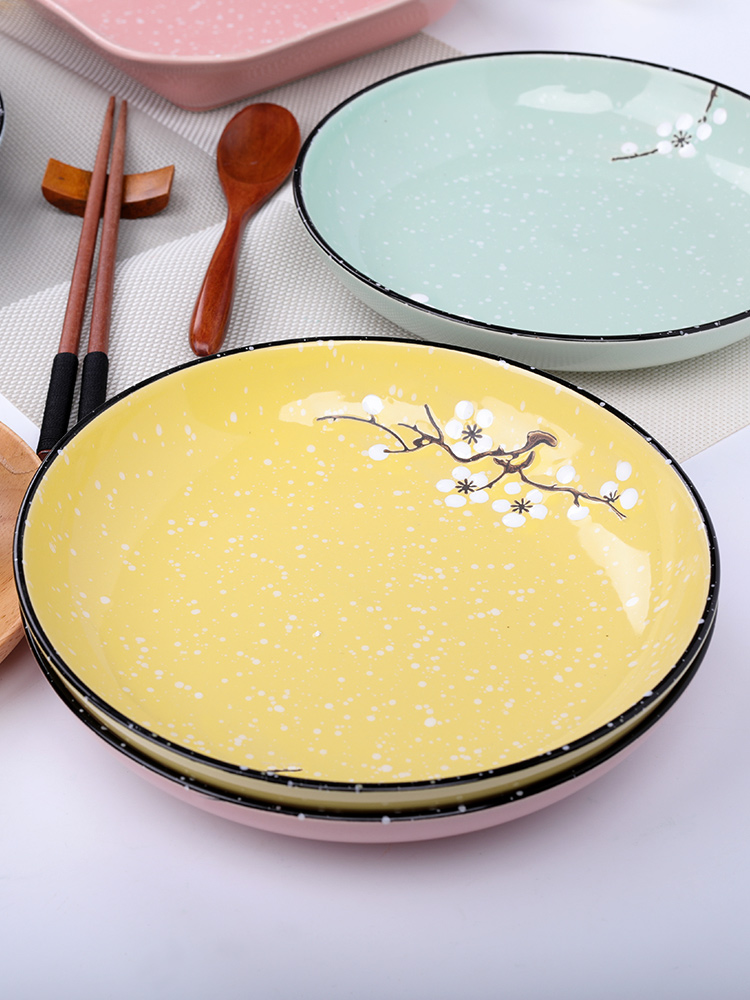 Creative dish plate plate plate plate plate irregular household Japanese ceramic fish steak ceramic plate of household
