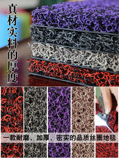 ковер 丝圈地毯脚垫可裁剪家用地垫进门入户门垫门厅防滑垫塑料地垫吸尘