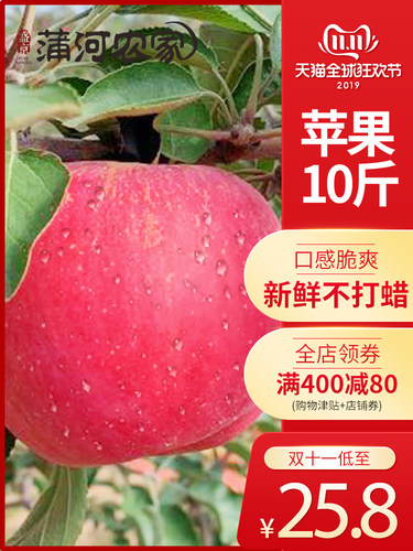 盛京蒲河农家 现摘现发整箱农家新鲜大苹果9斤