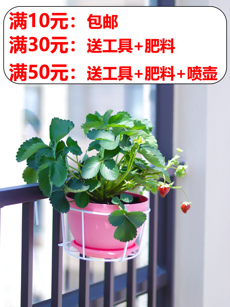 Kệ hoa ban công treo sân thượng lan can lưu trữ kệ sắt rèn cây xanh mọng nước chậu treo tường chậu hoa móc áo treo thanh lý kệ trồng cây thanh lý kệ trồng cây