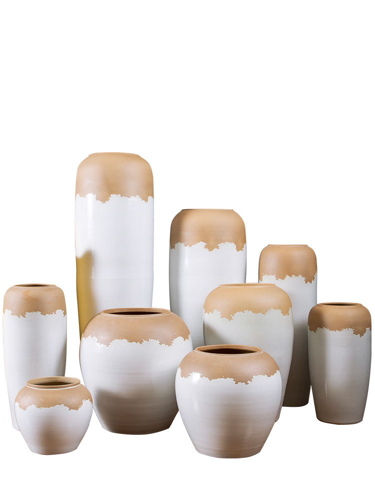 Nordic vase jingdezhen white clay creative household ceramics dried flowers contracted flower arrangement sitting room adornment is placed