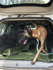 Клетка питомца автомобилей 中西midwest suv车载宠物隔离网隔栏越野车行李箱安全防护网