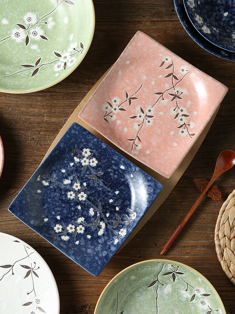 Japanese steak and ceramic plate side of dish dish to eat all the fruit salad platter home plate tableware