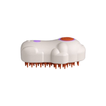 New product pet comb cat and dog pet electric spray massage comb one-click spray anti-flying hair massage bath brush