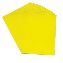 Sticky insect board special yellow board double-sided small black fly trap trap insect board sticker agricultural household garden strong
