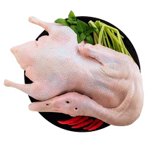 Pure dry goods high quality fresh frozen eviscerated white duck 1kg±0 1kg bag whole fresh frozen white striped duck