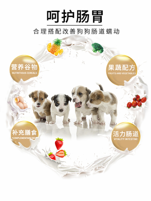 Thức ăn cho chó Odin cún Teddy VIP hơn Xiong Bomei Yorkshire thức ăn cho chó 500g - Chó Staples thức ăn cho chó con Chó Staples