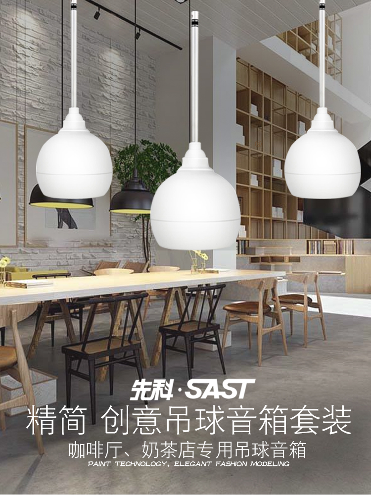 Category Bluetooth Speaker Productname Wireless Speakers Wireless Bluetooth Speakers Sast D Ball Audio Indoor Speaker Restaurant Hanging Wall