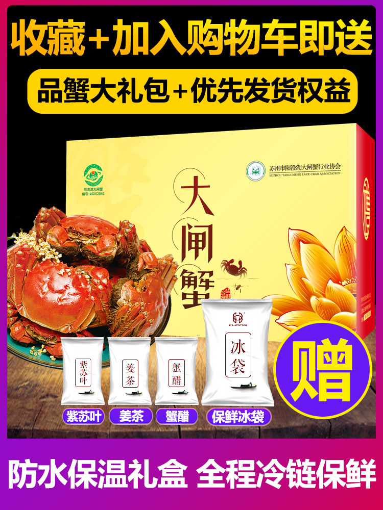 现货 鲜活 大闸蟹 公4.5~4.8两/母3.5~3.8两 各5只 图2
