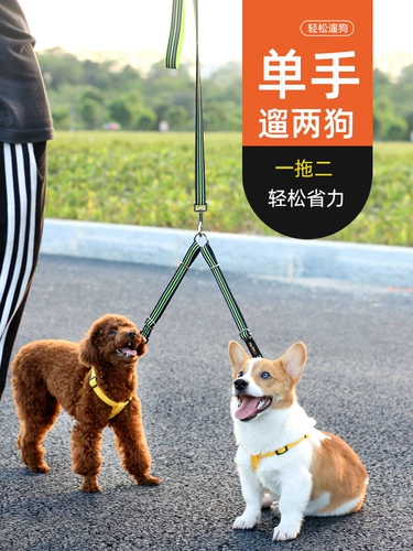 Веревка для сцепления с собаками, тащит две плюшевые две собаки, две собаки, собаки, собачьи цепи, анти -вдвоенные большие, средние собачьи веревки с двойным головом