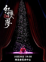 Chinese aesthetic classic costume drama A Dream of Red Mansions