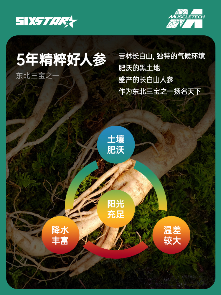 肌肉科技 牡蛎片 人参牡蛎肽片男士补充精力玛 图3