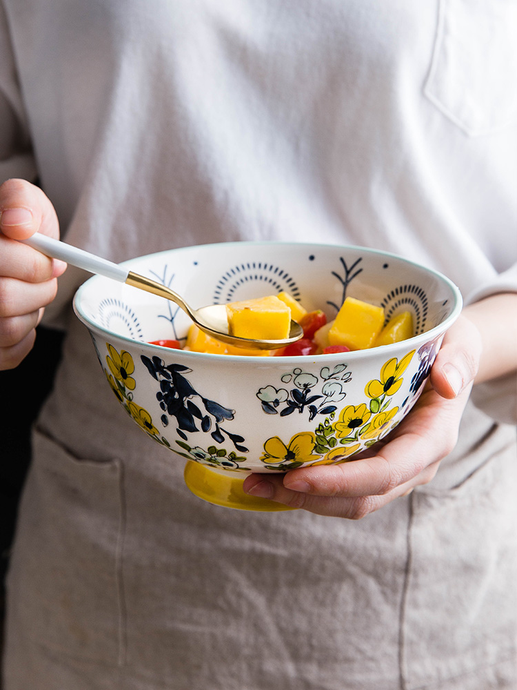 Modern housewives season Japanese rice bowls ceramic tableware with a single large bowl of beef noodles in soup bowl dessert salad bowl