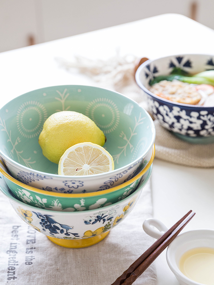 Modern housewives season Japanese rice bowls ceramic tableware with a single large bowl of beef noodles in soup bowl dessert salad bowl