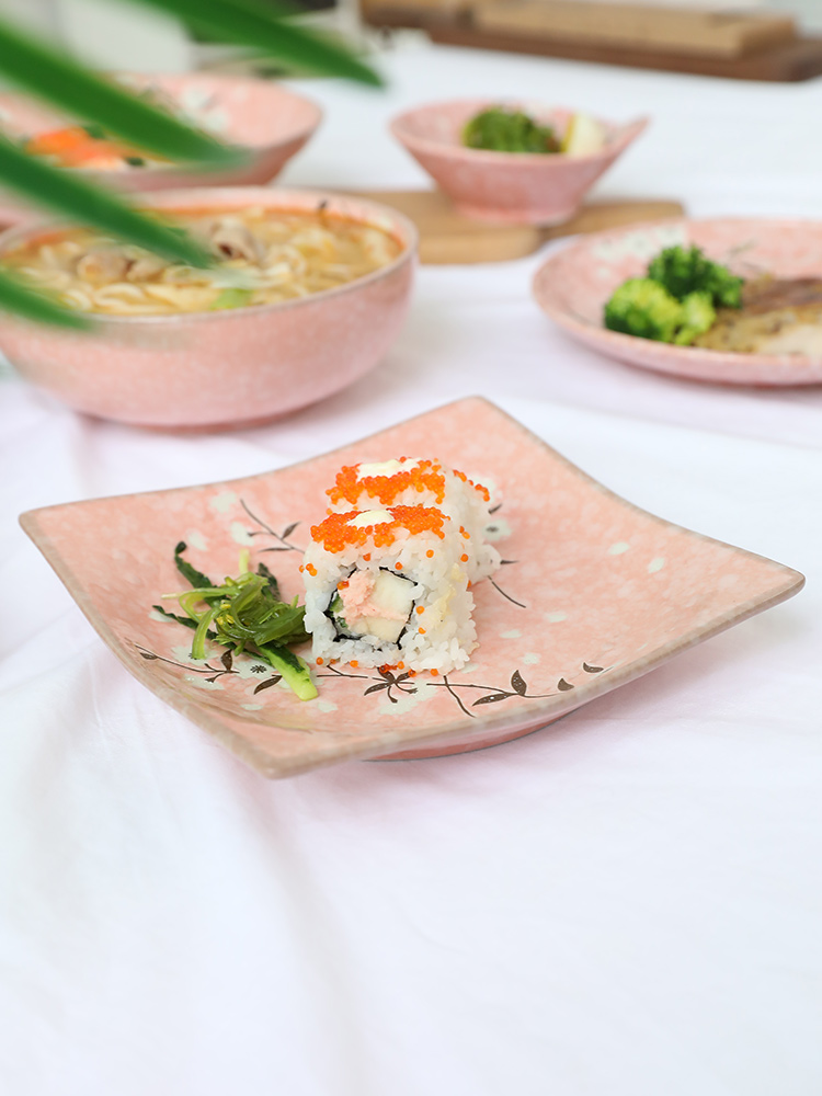 Japanese steak and ceramic plate side of dish dish to eat all the fruit salad platter home plate tableware