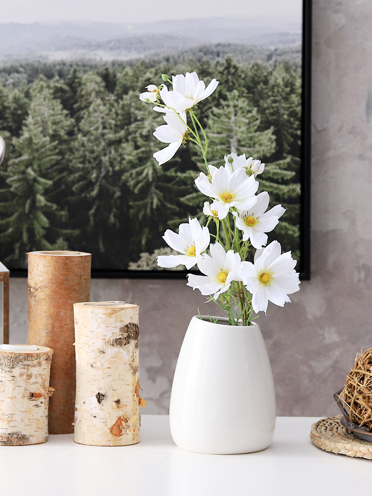 Nordic all over the sky star white household ceramic vase flowers, dried flowers, European contracted flower arrangement sitting room adornment is placed
