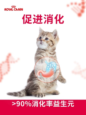 Thức ăn cho mèo hoàng gia k36 thức ăn cho mèo con 10kg mèo cái mang thai thức ăn cho mèo mèo Anh ngắn đẹp - Cat Staples