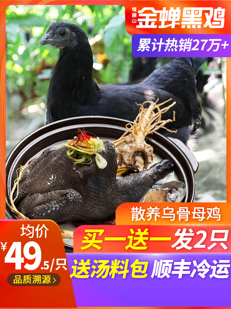 缘琳山 大别山散养 金蝉乌骨鸡 净重 2斤 图1