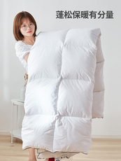 Пуховые/перьевые 梦洁羽绒被95白鹅绒冬被抗菌亲肤单人秋冬被加厚保暖被芯被子