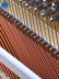 Xinghai dành cho người lớn nhà piano thẳng đứng Mới Đức chuyên nghiệp chơi đàn piano thật Hyde HS-25S - dương cầm casio px 870 dương cầm
