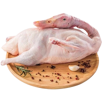 Cherry Valley duck frozen rural free-range native duck whole white-striped duck fresh wholesale 2 pcs 6 pcs