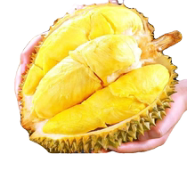 Thailand imported golden pillow durian seasonal fresh fruit 10 pounds a whole shelled small palm durian meat whole box