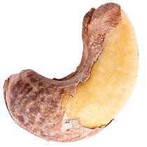 a180 cashew nut original purple skin 500g new arrival with skin pregnant women and children snack nuts canned large cashew nut extra large