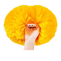 Flower Ball Cheerleaders Holding Flowers Cheerleading Flower Balls Cheerleaders Flower Balls Cheerleading Balls Cheerleaders Hold Flowers Dance Props