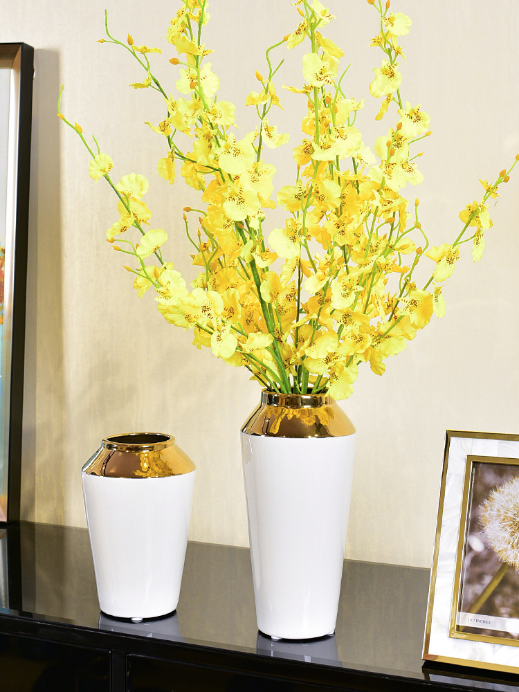 Modern light key-2 luxury floret bottle of water to raise the Nordic idea contracted sitting room ceramic furnishing articles table flower arranging flower bottles