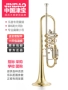 Jinbao Nhỏ JBTR-440 Nhạc cụ nhỏ Cấp độ chuyên nghiệp Trình diễn Cấp độ Bộ sưu tập Phím phẳng Giảm nhỏ B - Nhạc cụ phương Tây đàn mini