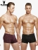 Playboy Đồ lót nam cho nam Boxer Thanh niên Bốn góc Sexy Mid-tăng Kích thước lớn Quần nam Quần lót thoáng khí Đàn ông quần lót đúc Giữa eo